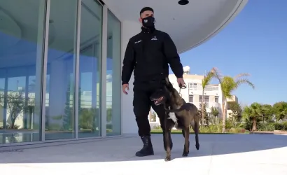 Υπηρεσίες K9 και σκύλοι ασφαλείας στην Αθήνα